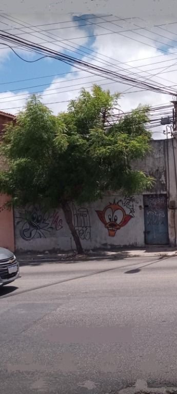 | Foto_migracao | 2