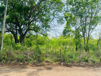 land_lot em Avenida Lago Azul, Formoso - Bonito - MS