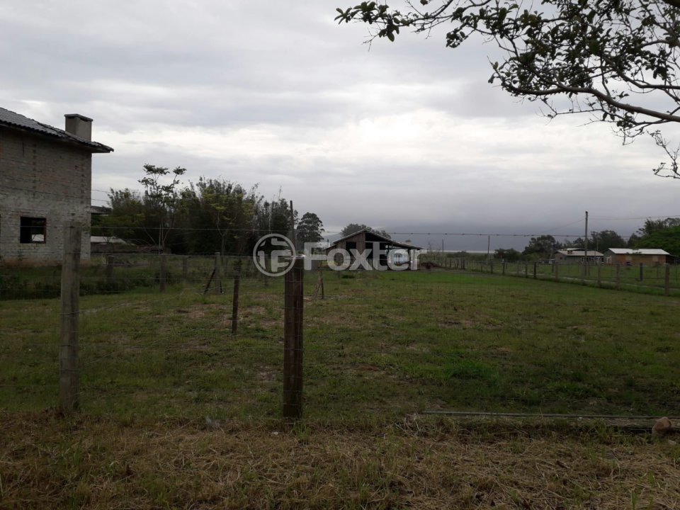 Tuti foto 5 terreno.jpeg