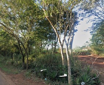 land_lot em Rodovia Mábio Gonçalves Palhano, Gleba Fazenda Palhano - Londrina - PR