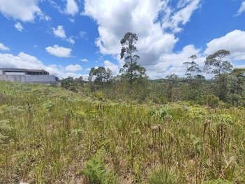 land_lot em Avenida Presidente Castelo Branco, Cézar de Souza - Mogi das Cruzes - SP