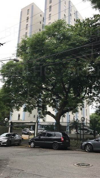 apartment em Rua Judith Zumkeller, Parque Mandaqui - São Paulo - SP