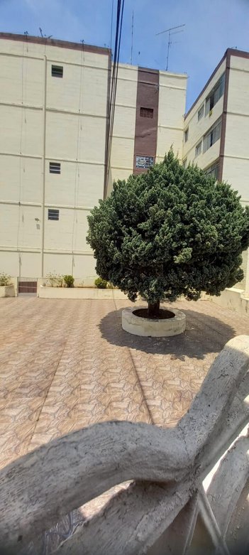 apartment em Rua Alfredo Ricci, Conjunto Residencial José Bonifácio - São Paulo - SP