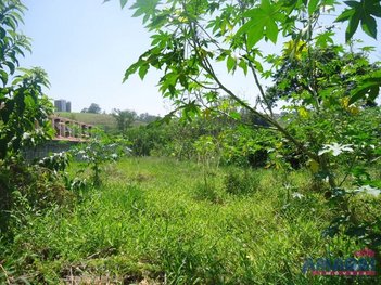 land_lot em Avenida Moriaki Ueno, Cidade Jardim - Jacareí - SP