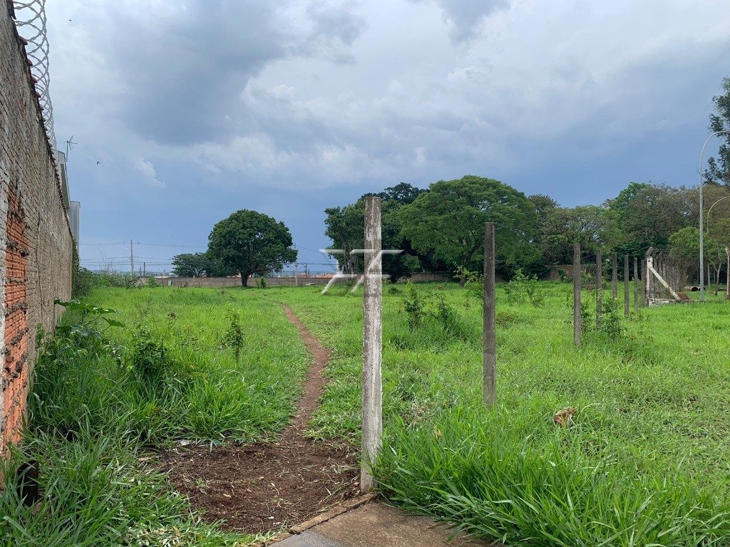 Terreno