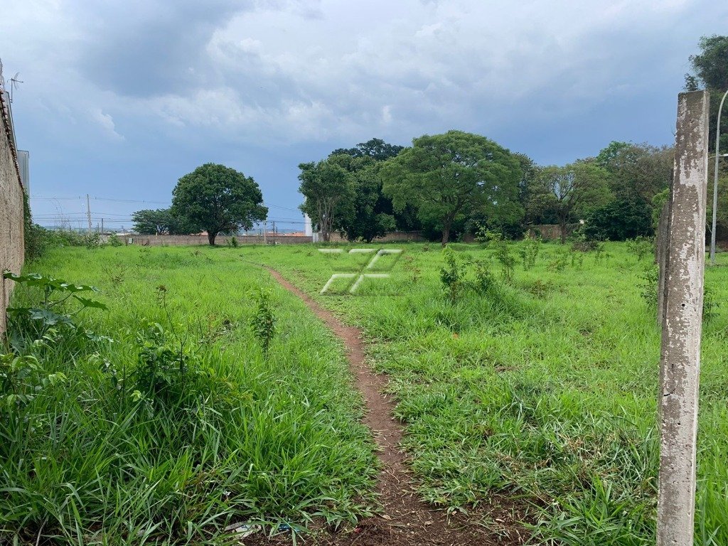 Terreno