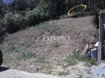 land_lot em Rua Verginia Bonatto Bachi, São Luiz - Caxias do Sul - RS