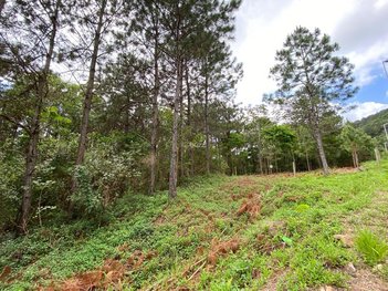 land_lot em Rodovia Admar Gonzaga, Itacorubi - Florianópolis - SC