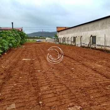 land_lot em José Daux, Canasvieiras - Florianópolis - SC