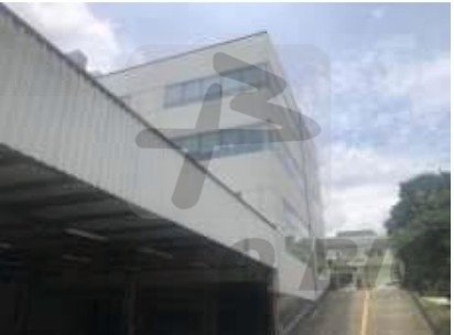 Captura de tela 2025-02-21 153540