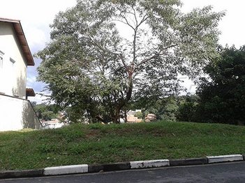 land_lot em Rua Professora Margarida Ruth Ferreira de Lima, Horto Florestal - São Paulo - SP