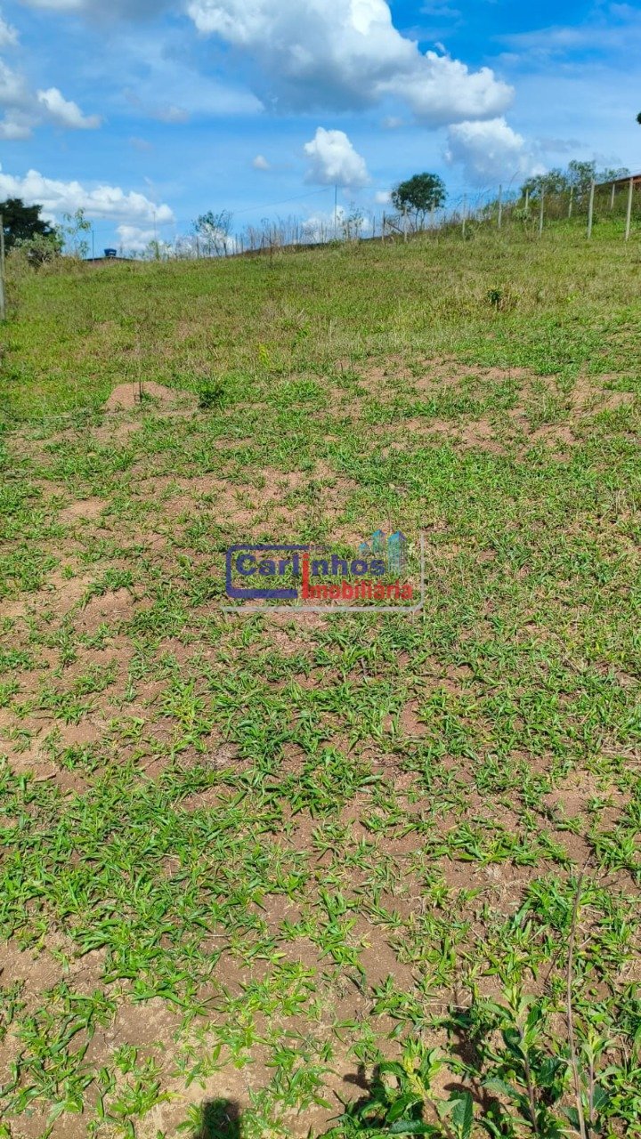 WhatsApp Image 2025-11-07 at 12.34