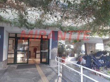 office em Rua Duarte de Azevedo, Santana - São Paulo - SP