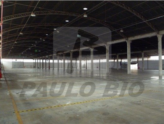 Captura de tela 2025-04-11 110641