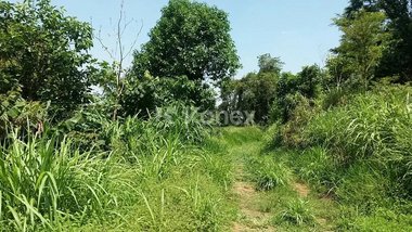 land_lot em Avenida Senador José Ermírio de Moraes, Tremembé - São Paulo - SP