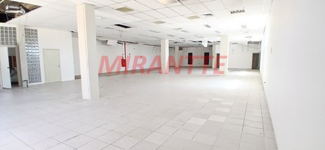 business em Avenida Zumkeller, Parque Mandaqui - São Paulo - SP