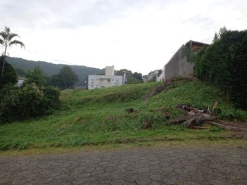 land_lot em Rua Noel Rosa, Lote Seis - Criciúma - SC
