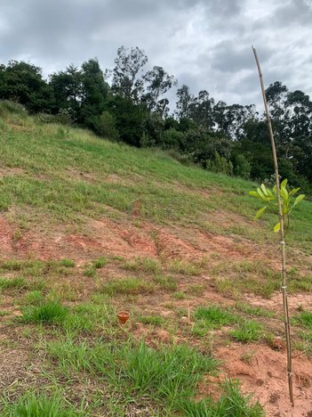 land_lot em Avenida Antônio Pincinato, Recanto Quarto Centenário - Jundiaí - SP
