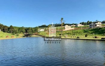 land_lot em Rua Engenheiro Grevile, Colônia Dona Luíza - Ponta Grossa - PR