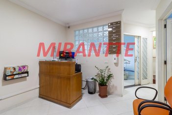 business em Aluísio Azevedo, Santana - São Paulo - SP
