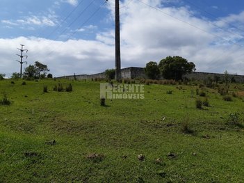 land_lot em Rua Tomáz Domingos da Silveira, São Sebastião - Palhoça - SC