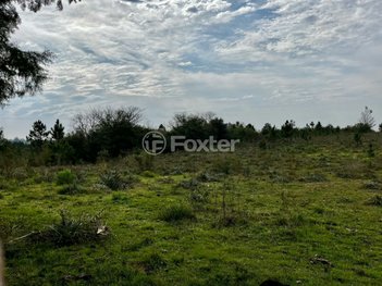 land_lot em Rua Cândido Pinheiro Barcelos, Elza - Viamão - RS