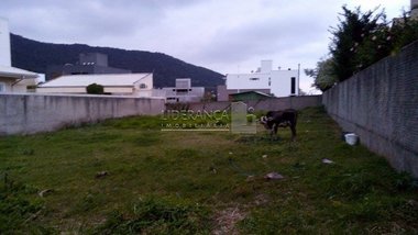 land_lot em Rua Liberato Carioni, Lagoa da Conceição - Florianópolis - SC