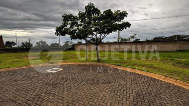 land_lot em Avenida Vereador Carlito Cordeiro, Laranjeiras - Uberlândia - MG