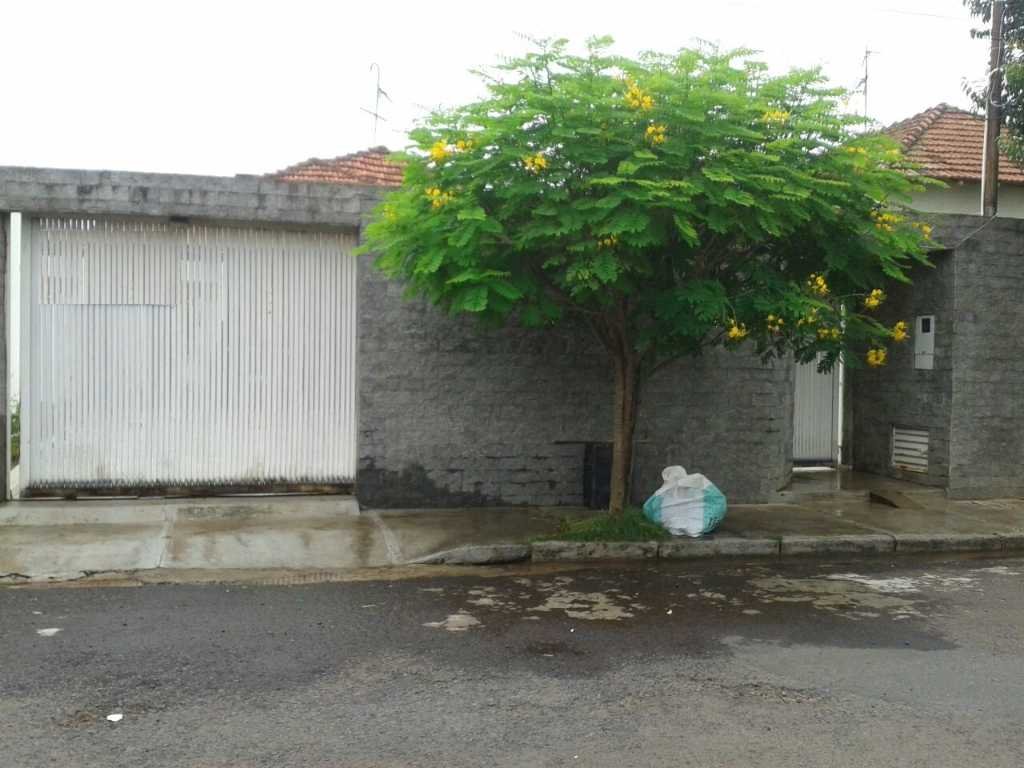 image-0