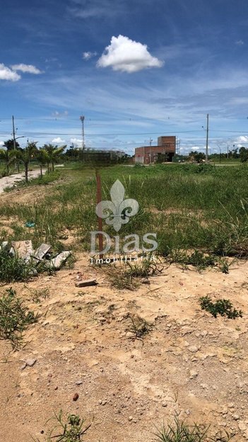 land_lot em Avenida dos Tarumãs, Setor Residencial Sul - Sinop - MT