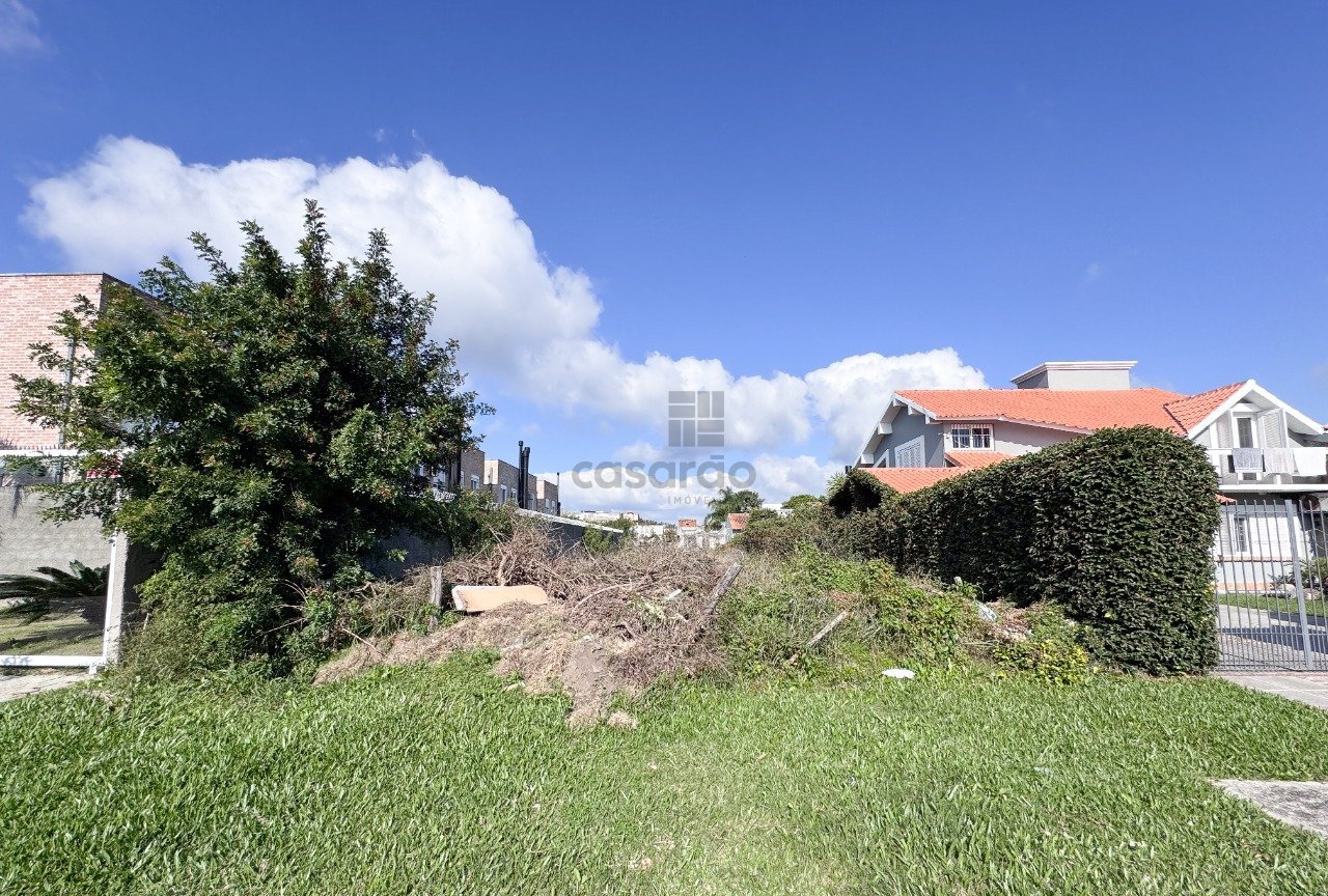 terreno