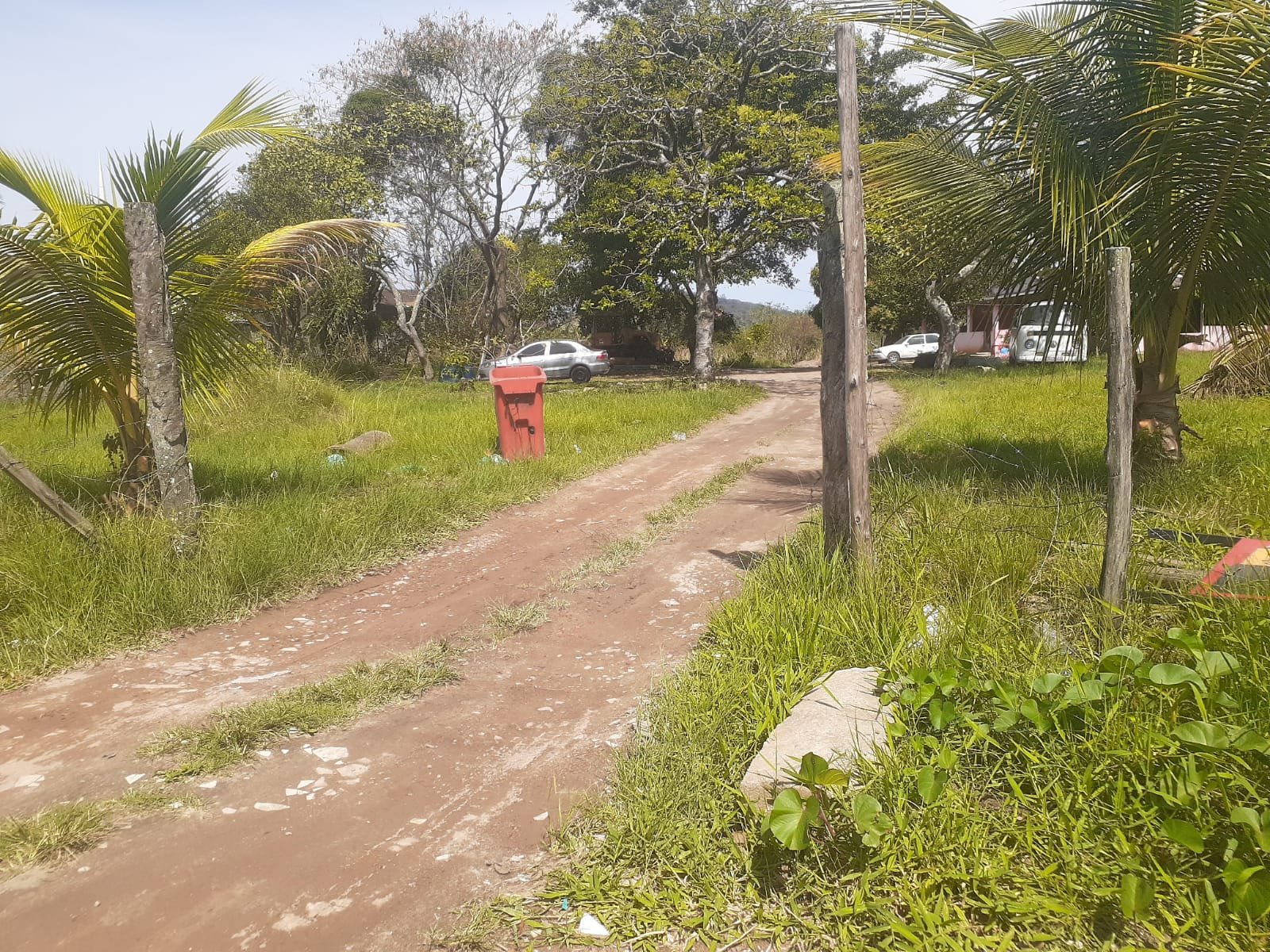 image-0