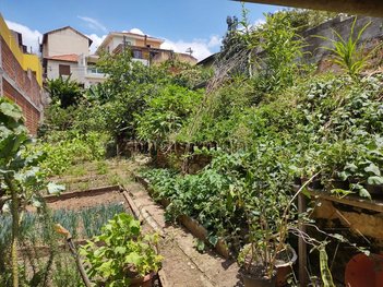 land_lot em PROFESSOR ALÍPIO DUTRA, Jardim Monte Kemel - São Paulo - SP