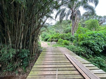 land_lot em Rua Laurindo Januário da Silveira, Lagoa da Conceição - Florianópolis - SC