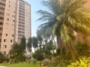 apartment em Rua Eleutério, Vila Camilópolis - Santo André - SP