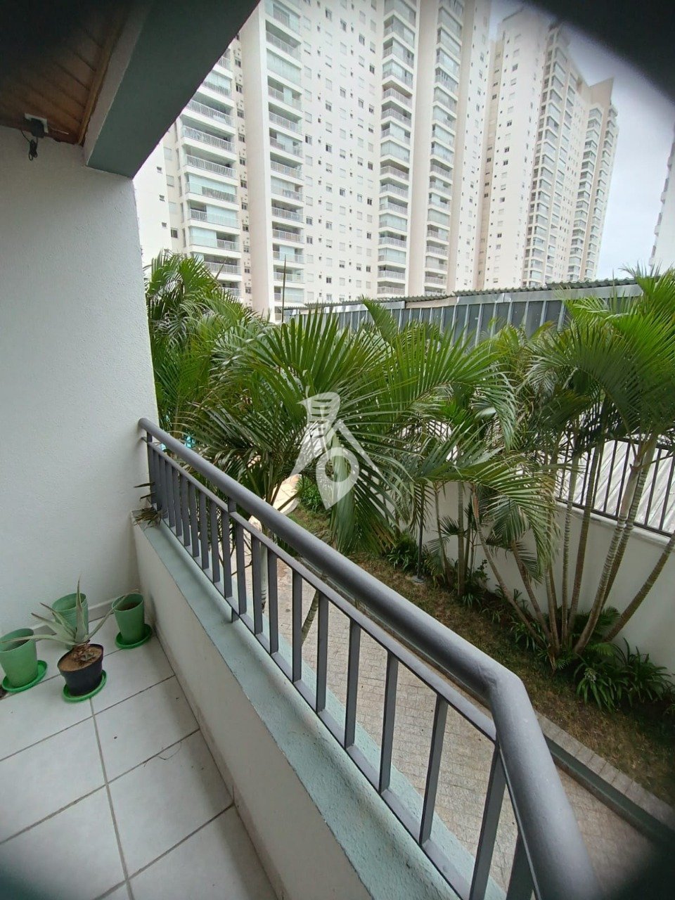 IMG-20250610-WA0002