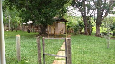 agricultural em Área Rural, Área Rural de Uberlândia - Uberlândia - MG