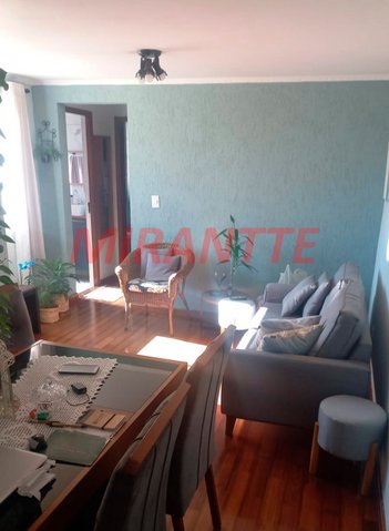 apartment em Avenida Parada Pinto, Vila Nova Cachoeirinha - São Paulo - SP