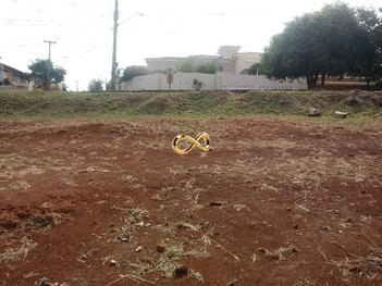 land_lot em Orlando Picchi, Parque Santa Mônica - São Carlos - SP