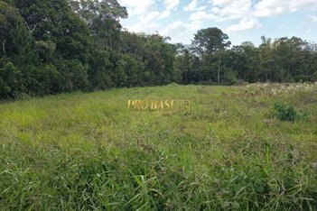 land_lot em Rua José Laurindo Machado, Forquilhas - São José - SC