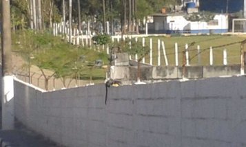 land_lot em Avenida Dutra, Jardim Emília - Arujá - SP