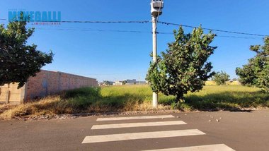 land_lot em Avenida Antônio Elias, Santa Rita - Piracicaba - SP