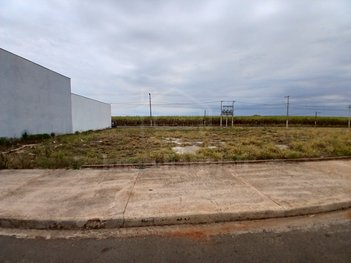 land_lot em Rua Dona Augusta da Conceição, Jardim Olaria (Potunduva) - Jaú - SP