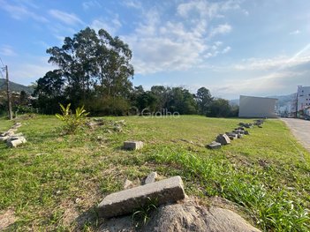 land_lot em Servidão Alcides Anacleto Vieira, Pantanal - Florianópolis - SC