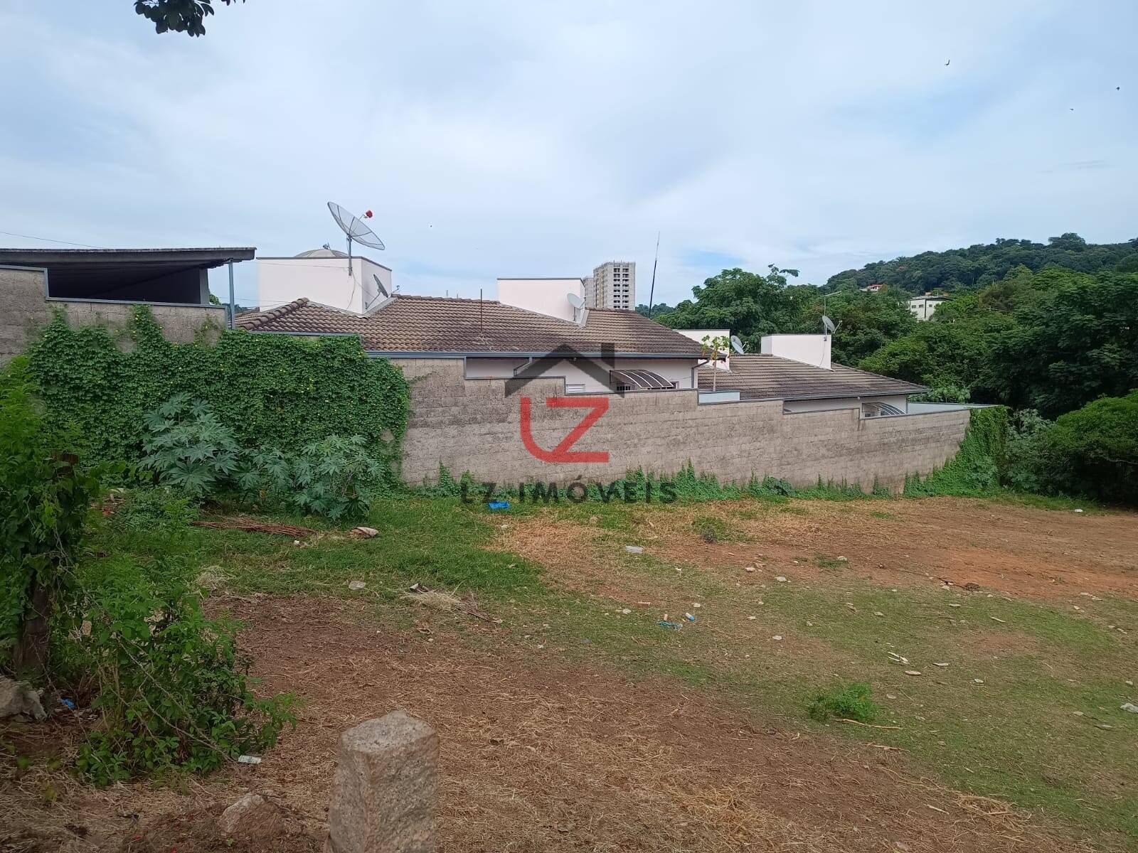 image-2
