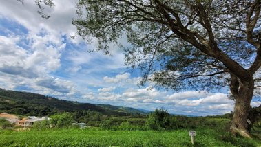 land_lot em Avenida São Roque, Estação - São Roque - SP