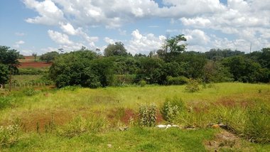 land_lot em Rodovia Mábio Gonçalves Palhano, Gleba Fazenda Palhano - Londrina - PR