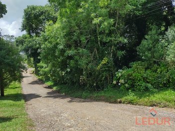 land_lot em Rua dos Alpes, São Francisco de Paula - São Francisco de Paula - RS