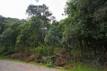 land_lot em Avenida Capivari, Serrano - Caxias do Sul - RS