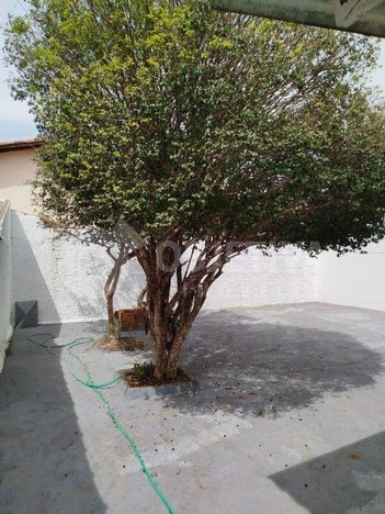 house em Rua Castro Alves, Tubalina - Uberlândia - MG